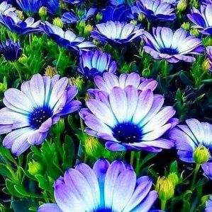 Meet your Posher, Vicki